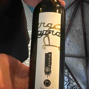 Grillo - Vini Barraco - antonino-barraco -2020