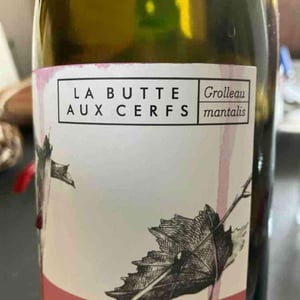Grolleau mantalis - La butte aux cerfs - berenger -2025