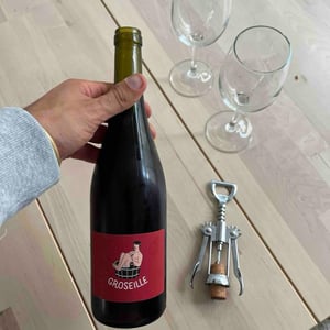 Groseille - Domaine Montaillant - alexis-hudon-jerome-loubert