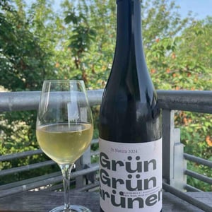 Grün Grün Grüner - Weingut Schödl Family - Mathias, Viktoria & Leonhard Schödl -2024