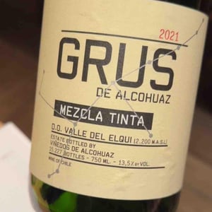 Grus - Viñedos De Alcohuaz - Marcelo Retamal 