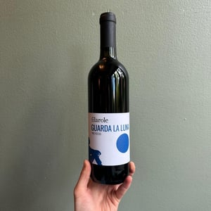Guarda la Luna - Filarole - Barbara Pulliero & Paolo Rusconi -2021
