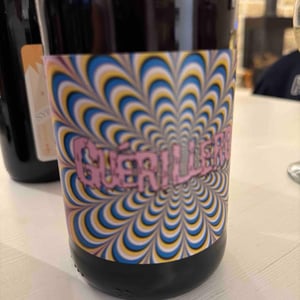 Guérilleros (pink label) - Gilles Troullier - gilles-troullier