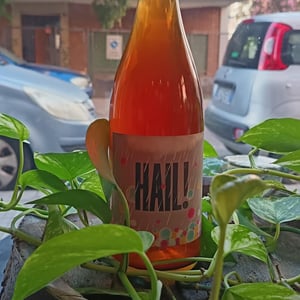 Hail! - Tenuta Vincenzo Nardone - nicola-nardone -2022