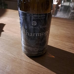 Harmoge - Primaterra - Walter De Batté 