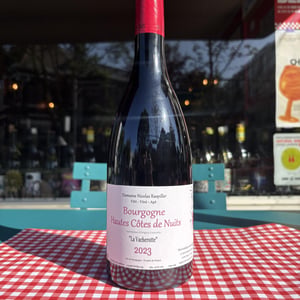 Hautes Côtes de Nuits - Domaine Nicolas Raspiller - Nicolas Raspiller -2021