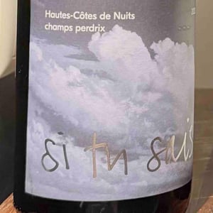 Hautes-Côtes de Nuits champs perdrix - Si tu Sais - patrick-johnston -2023