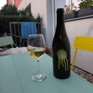 Hedonista - Milan Nestarec - Milan Nestarec 