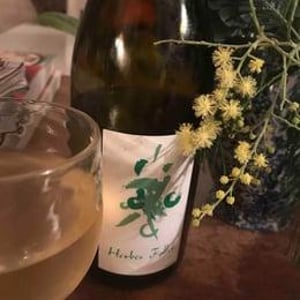 Herbes Folles - Clément Baraut - clement-baraut