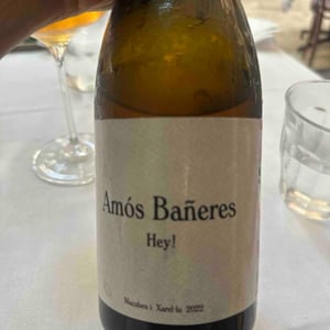 Hey! - Vinya Oculta - amos-baneres