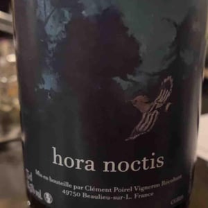 Hora Noctis - Clément Poirel - Clément Poirel -2020