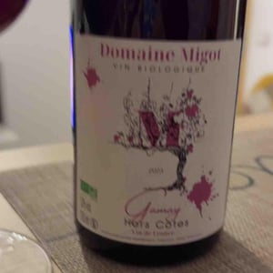 Hors Côtes - Domaine Migot - domaine-migot -2023