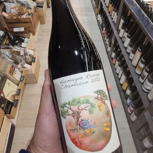 Humagne Rouge Chamoson - Domaine des Petites Planètes - Guillaume Bodin -2023