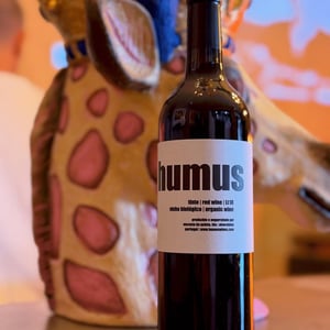 Humus tinto t17 - Quinta do Paço (Humus) - Rodrigo Filipe 