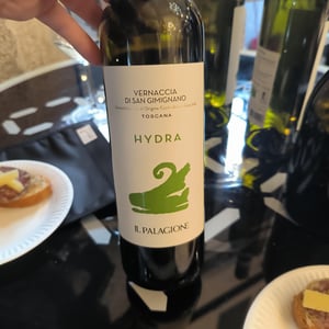 Hydra - Il palagione - rota-monica -2025