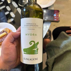 Hydra - Il palagione - rota-monica -2025