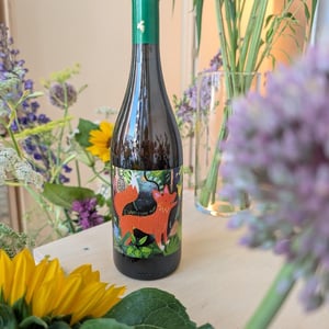 I want some more - Legàmi Wine - legami-wine-05 -2023