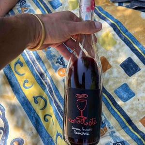 Iconoclaste - Francia - domaine-foussier