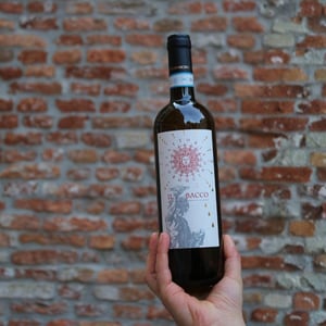 Il Bacco - Fattoria Coroncino - lucio-e-fiorella-canestrari