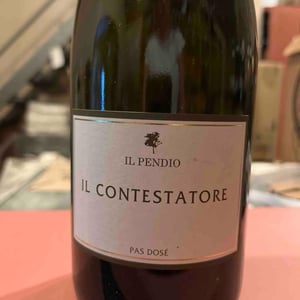 Il Contestatore - Il Pendio - Michele Loda 