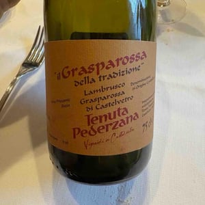 Il Grasparossa della Tradizione - Azienda Agricola Tenuta Pederzana - francesco-gibellini -2021