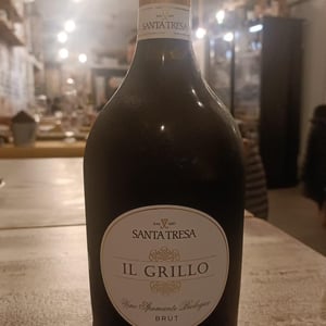Il Grillo - Feudo di Santa Tresa [BIO_ORGANIC] - Stefano Girelli -2022