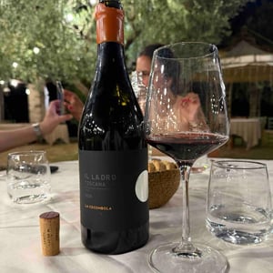IL LADRO - La Cocombola - la-cocombola -2020