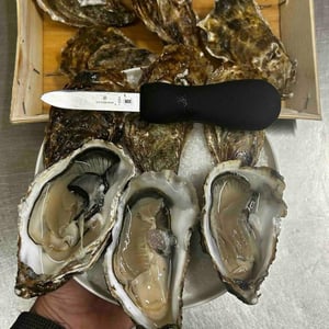 Il Nuovo Coltellino È Una Bomba! - Sckiribar - 957015