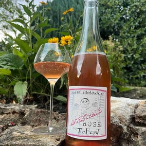 IL ROSÉ and The Beast - Soc. Coop. Agr. Valli Unite - valli-unite
