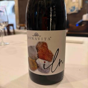 Ilnó - Azienda Agricola Bonavita - Giovanni Scarfone 