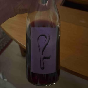 Impeccable - Domaine Cinq Peyres / V Peyres - Charles & Pierre Bonnafont 