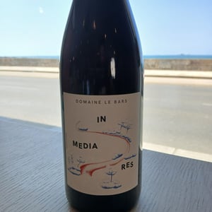 In Media Res - Domaine Le Bars - gwennaelle-le-bars -2021