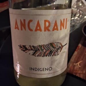 Indigeno - Ancarani - Rita Babini & Claudio Ancarani 