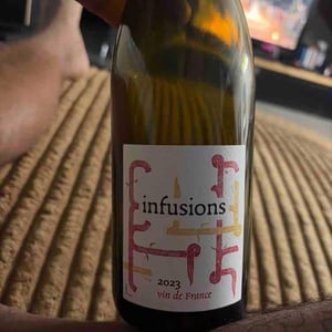 Infusions - Terra Vita Vinum - benedicte-luc-briand -2021