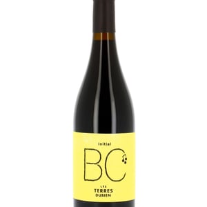 Initial BC - Les Terres Dubien - Benoit Joussot-Dubien 