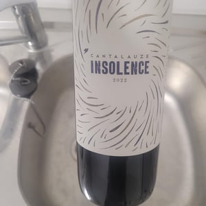 Insolence - Domaine de Cantalauze - Pierre-Olivier & Pauline Laurent -2020
