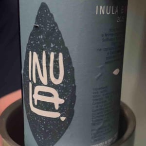 Inula Bianco - Inula - filippo-cattaneo-giulia-cecchelin