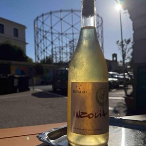 Inzolia "Non Filtrato" - Cantina Funaro - tiziana-clemente-and-giacomo-funaro -2020