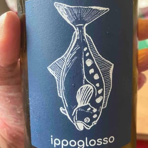 Ippoglosso - Thibault Stephan - Thibault Stephan