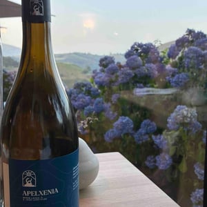 Irouleguy Osina - Domaine Apelxenia - miren-laxague-joan-lapeyrade -2024