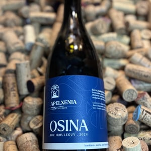 Irouleguy Osina - domaine Apelxenia - Miren Laxague et Joan Lapeyrade -2024