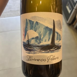 Itinérance Polaires - Domaine des Albatros - Julien Cartier 