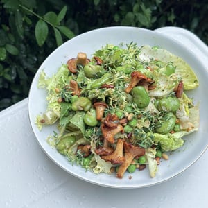 Mixed Leaves With Broad Beans, Peas, Chanterelles, Mustard Dressing, Pine Nuts And Thyme - Winnowiercy Natural Wine Bistronomie - 1367670