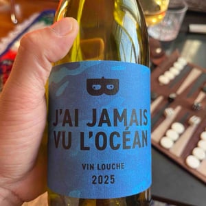 J’ai jamais vu l’océan - Vin louche - bel-esprit