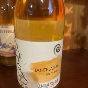 jantelagen - Agricola Polesana - Terre dei Gaia - Claudio Polesana -2020