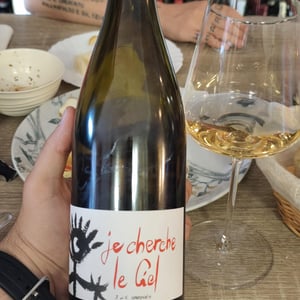 Je Cherche Le Ciel Blanc - Domaine Gardiés - jean-victor-gardies -2022