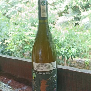 Big Bunch Theory "Go Together" Blanc - Domaine Hughes-Beguet - Caroline & Patrice Hughes Béguet 