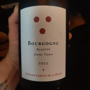 Jeunes vignes - Antoine leoetit de la bigne - Antonine leoetit se la bigne -2022