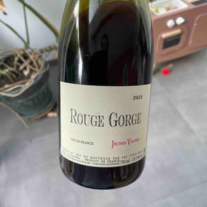 Jeunes Vignes - Clos du Rouge Gorge - cyril-fhal