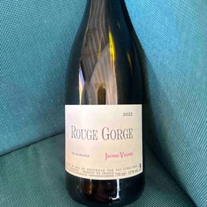 Jeunes Vignes - Clos du Rouge Gorge - cyril-fhal